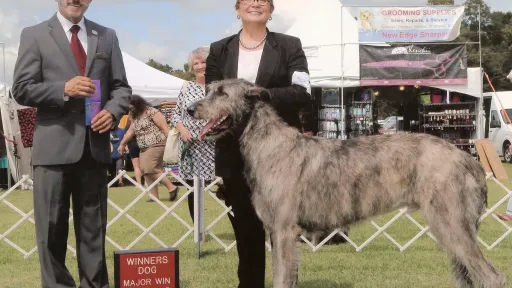 AKC judge presenting ribbons to Joyce and Logan