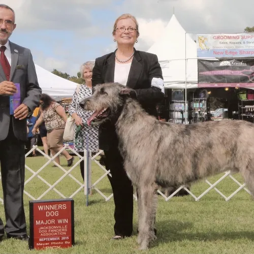AKC judge presenting ribbons to Joyce and Logan