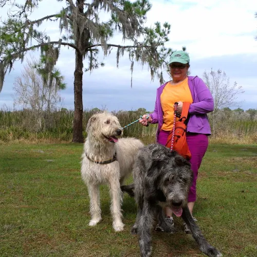 2 wolfhounds and a happy woman in a Florida park